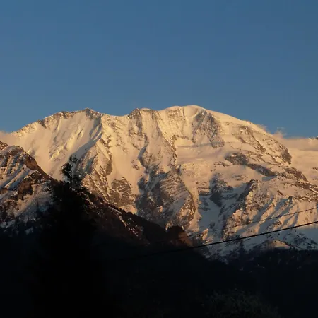 Les Jardins Alpins Chez Olivier *